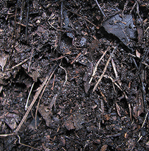 Working Compost Close Up