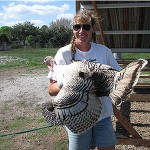 Linda Hart and Turkey Hen